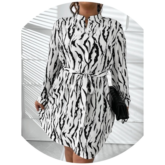 Belted Shirt Dress - Size 4XL (20) - Picture 4 of 6